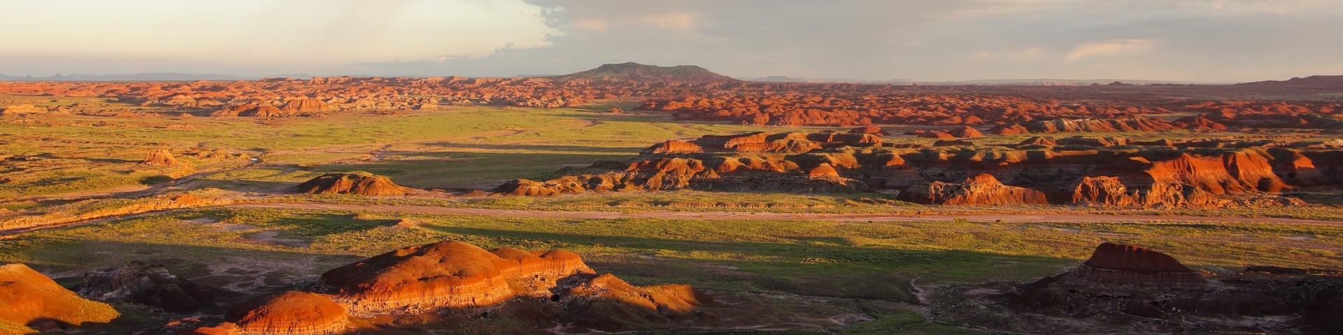 Park Narodowy Skamieniałego Lasu (Petrified Forest National Park)